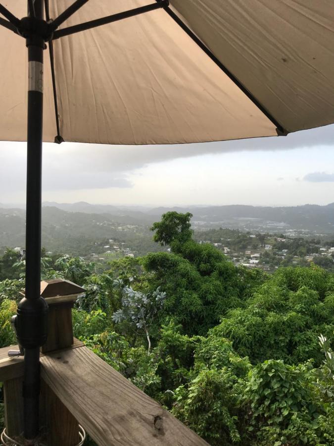 Camping Para Dos - A Escoger Segun Disponibilidad De Caseta O Cabana Caguas Dış mekan fotoğraf