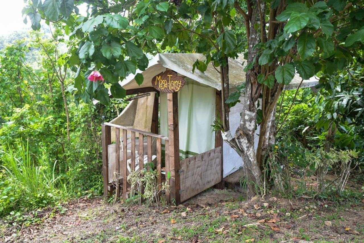 Camping Para Dos - A Escoger Segun Disponibilidad De Caseta O Cabana Caguas Dış mekan fotoğraf