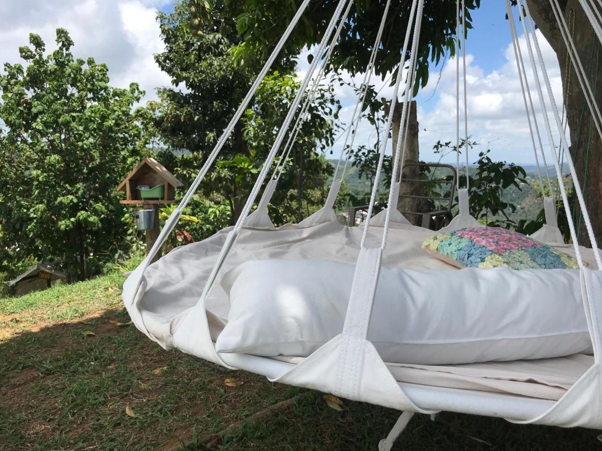 Camping Para Dos - A Escoger Segun Disponibilidad De Caseta O Cabana Caguas Dış mekan fotoğraf