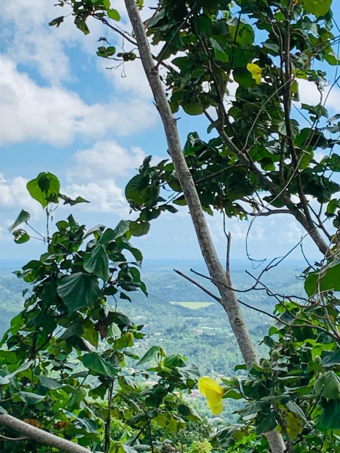 Camping Para Dos - A Escoger Segun Disponibilidad De Caseta O Cabana Caguas Dış mekan fotoğraf