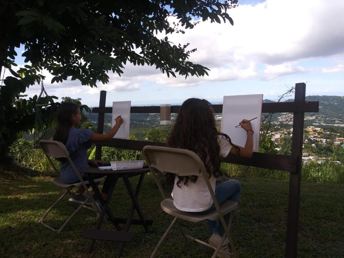 Camping Para Dos - A Escoger Segun Disponibilidad De Caseta O Cabana Caguas Dış mekan fotoğraf
