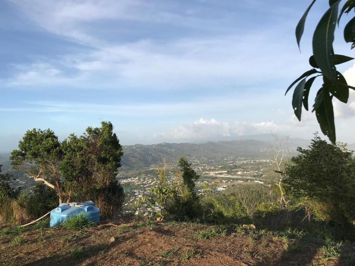 Camping Para Dos - A Escoger Segun Disponibilidad De Caseta O Cabana Caguas Dış mekan fotoğraf
