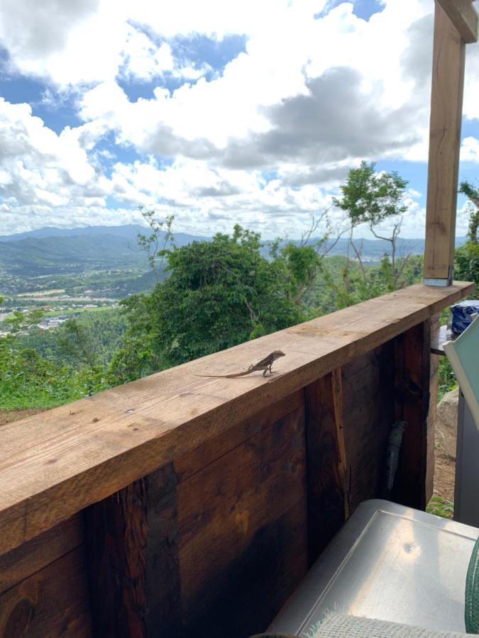 Camping Para Dos - A Escoger Segun Disponibilidad De Caseta O Cabana Caguas Dış mekan fotoğraf