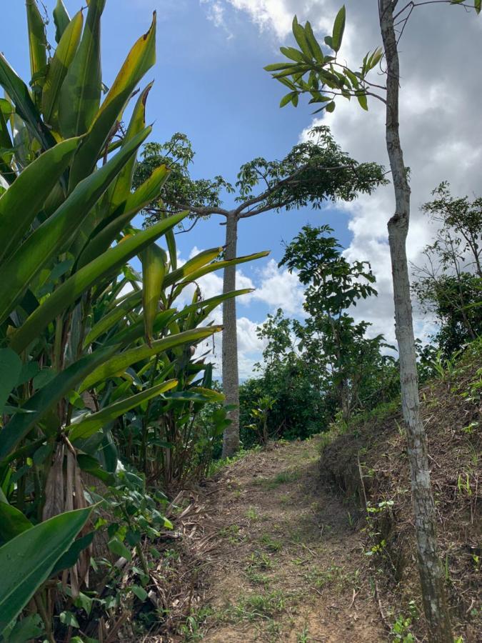 Camping Para Dos - A Escoger Segun Disponibilidad De Caseta O Cabana Caguas Dış mekan fotoğraf
