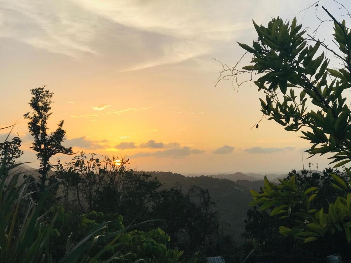 Camping Para Dos - A Escoger Segun Disponibilidad De Caseta O Cabana Caguas Dış mekan fotoğraf