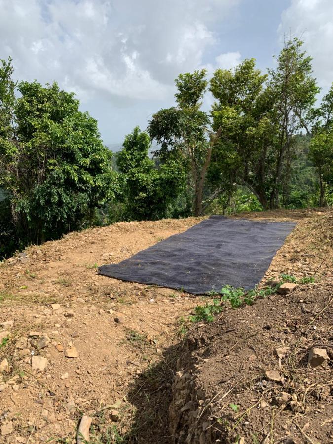 Camping Para Dos - A Escoger Segun Disponibilidad De Caseta O Cabana Caguas Dış mekan fotoğraf