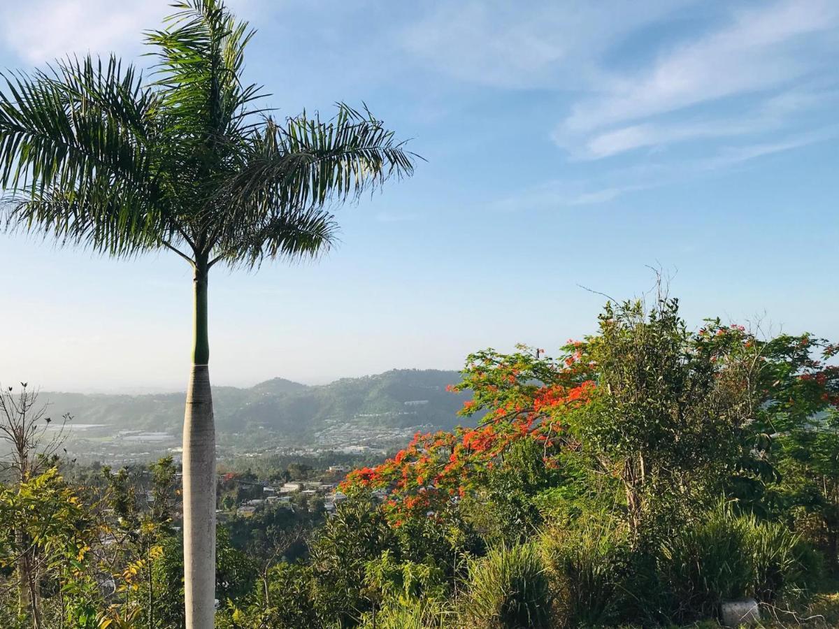 Camping Para Dos - A Escoger Segun Disponibilidad De Caseta O Cabana Caguas Dış mekan fotoğraf