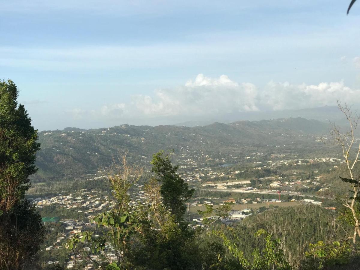 Camping Para Dos - A Escoger Segun Disponibilidad De Caseta O Cabana Caguas Dış mekan fotoğraf