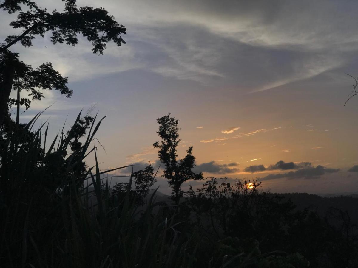 Camping Para Dos - A Escoger Segun Disponibilidad De Caseta O Cabana Caguas Dış mekan fotoğraf