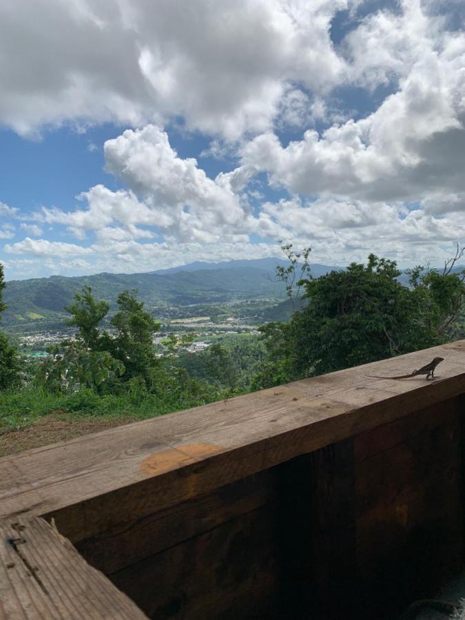 Camping Para Dos - A Escoger Segun Disponibilidad De Caseta O Cabana Caguas Dış mekan fotoğraf