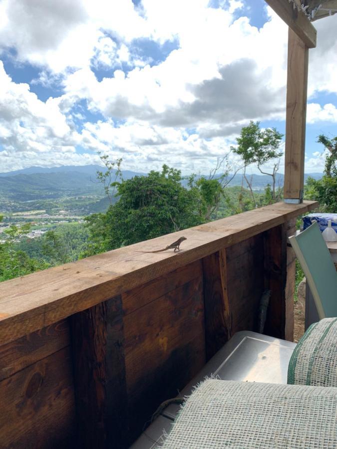 Camping Para Dos - A Escoger Segun Disponibilidad De Caseta O Cabana Caguas Dış mekan fotoğraf