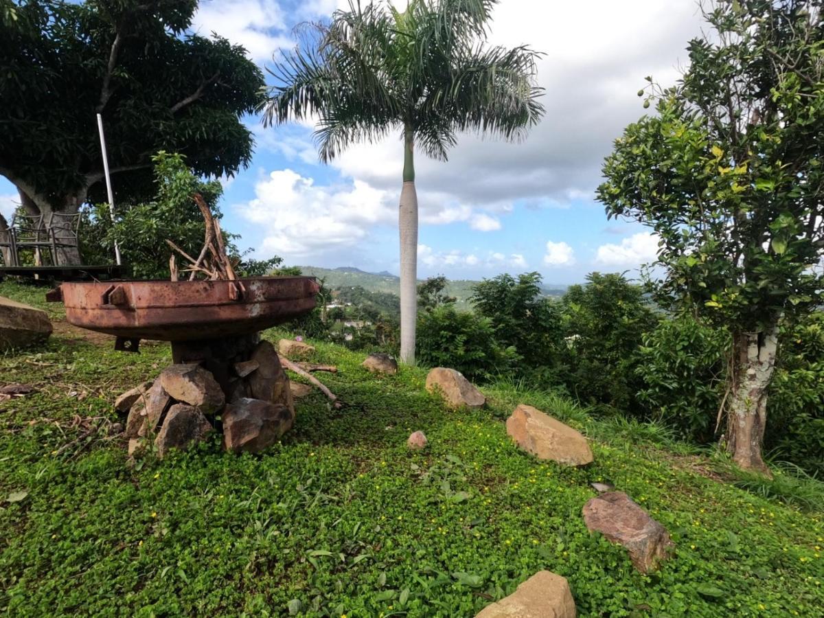 Camping Para Dos - A Escoger Segun Disponibilidad De Caseta O Cabana Caguas Dış mekan fotoğraf